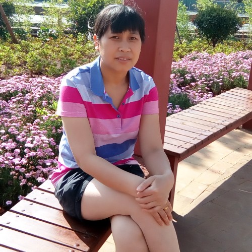 泪蝶的照片