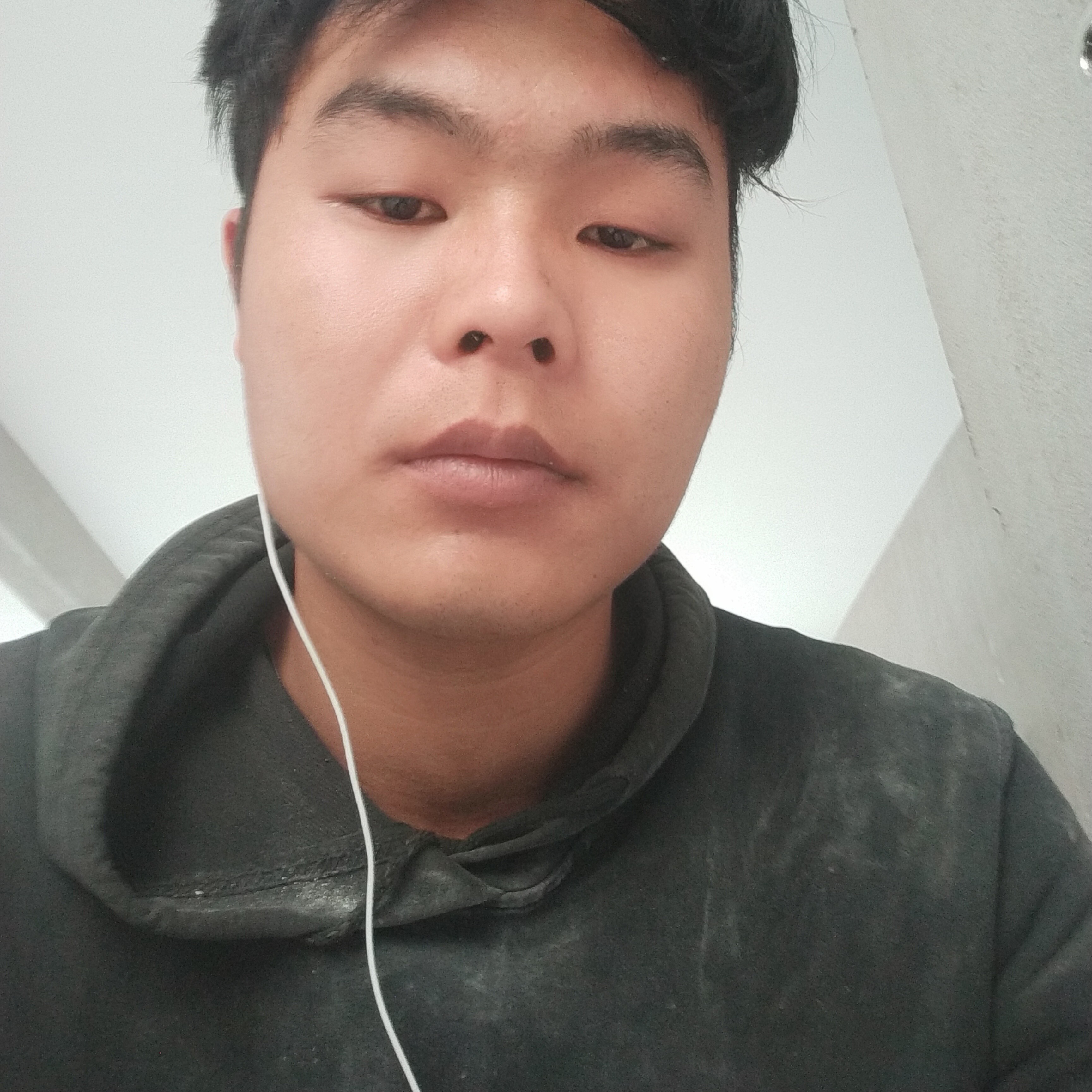 康乃馨用无辜的照片