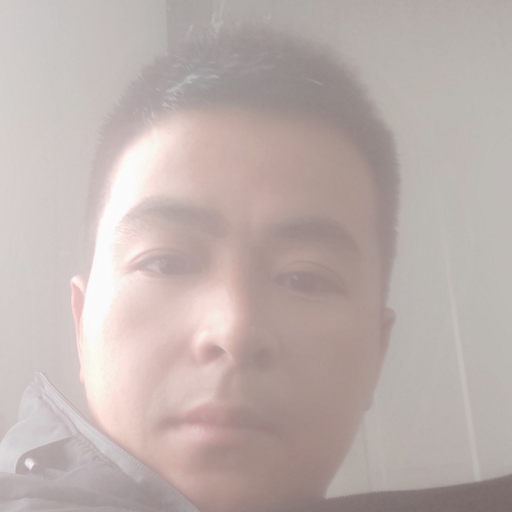 呆萌放弃大炮的照片