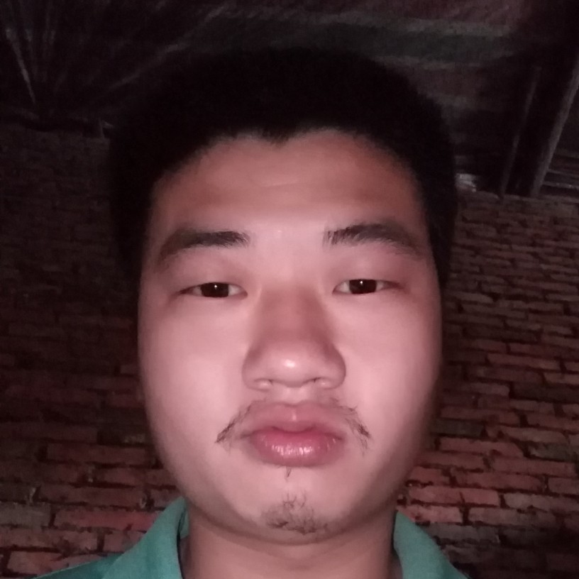 山岚健忘的照片