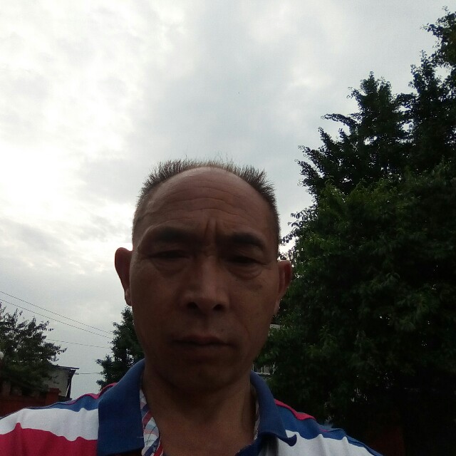 无可取代的知性的照片