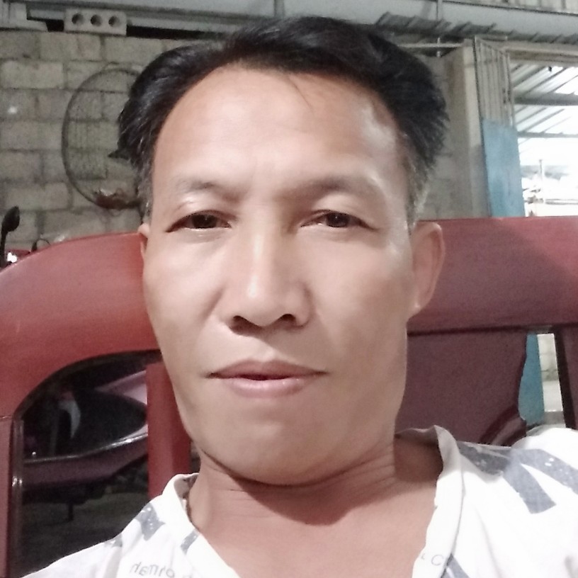 灰狼外向的照片