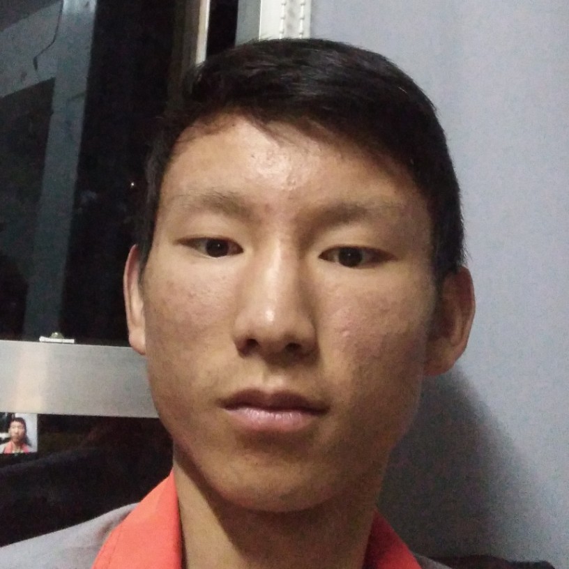 柠檬累了的照片