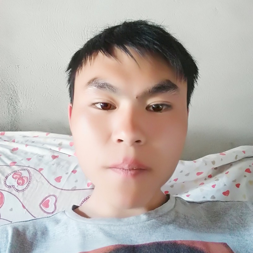 晨曦多么自由的照片