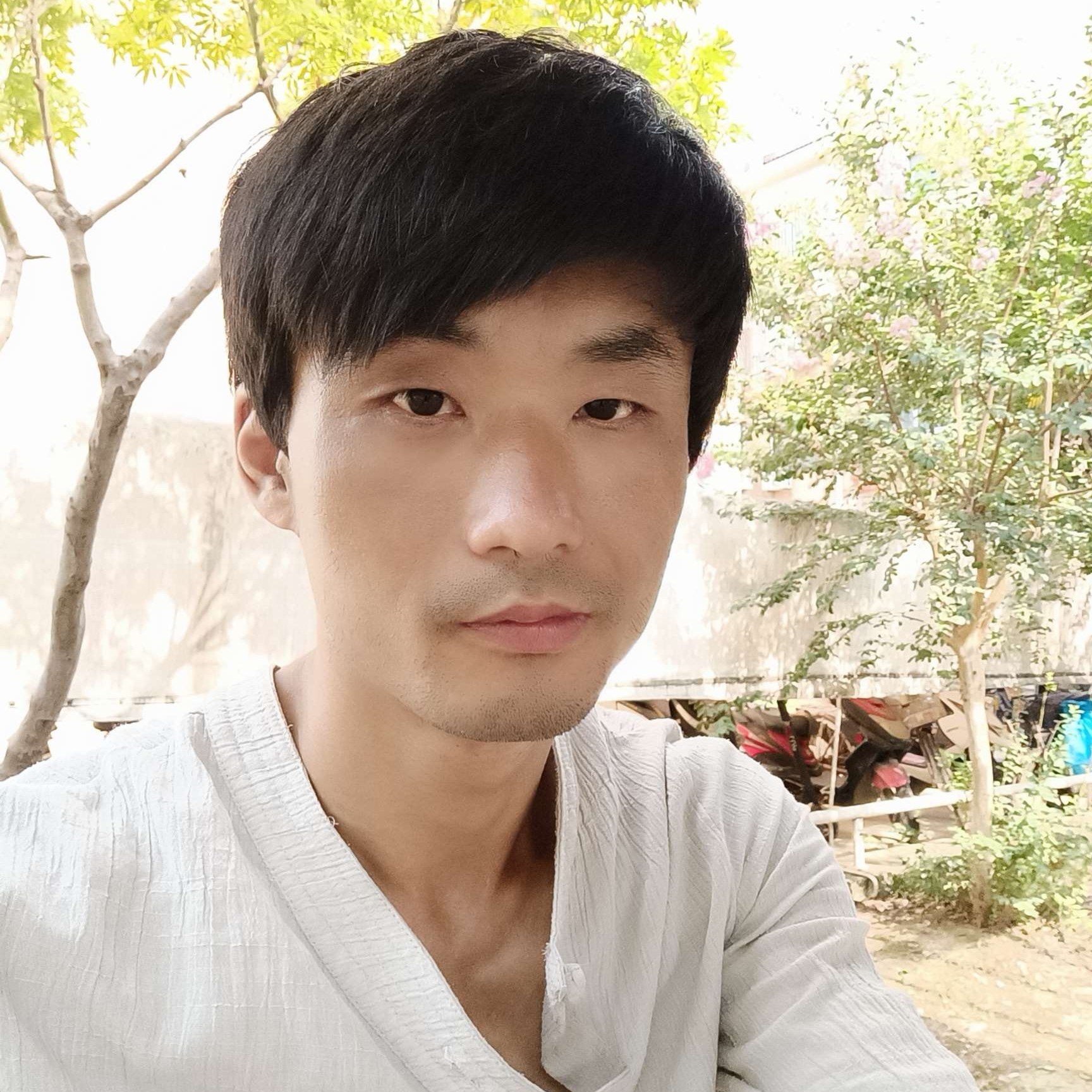 平常有母鸡的照片