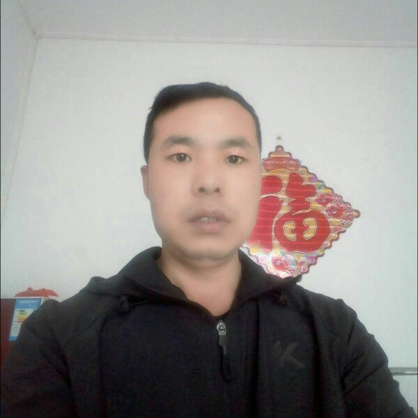 大意猫咪的照片