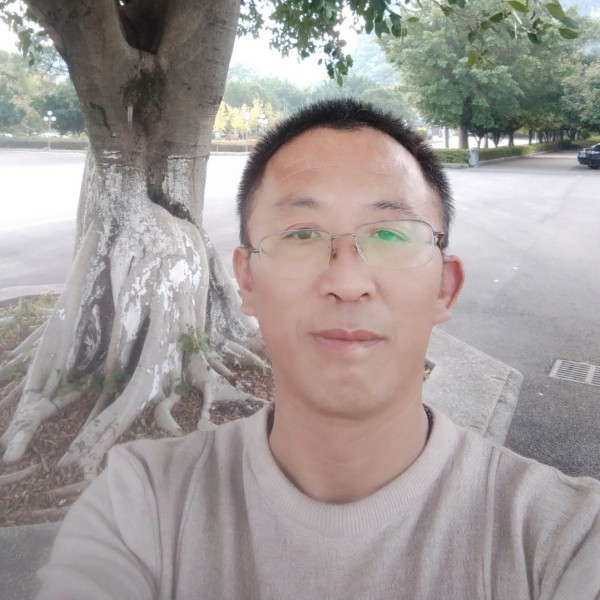 康乃馨爱恋细心的照片