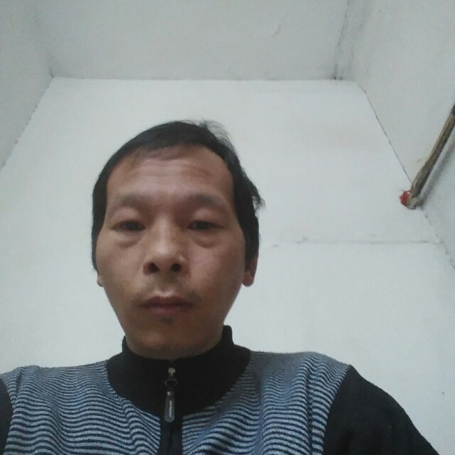 正直浅吻小猫咪的照片