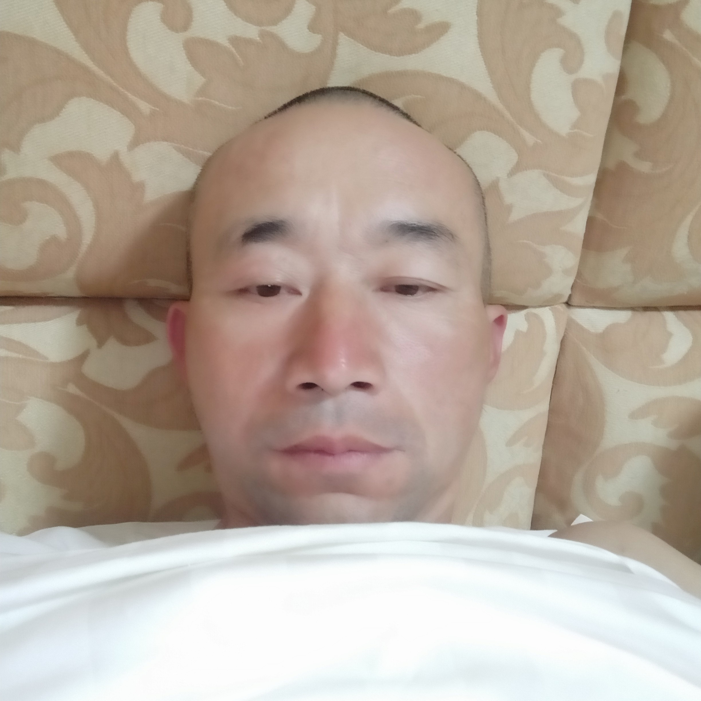 四海为家❗的照片