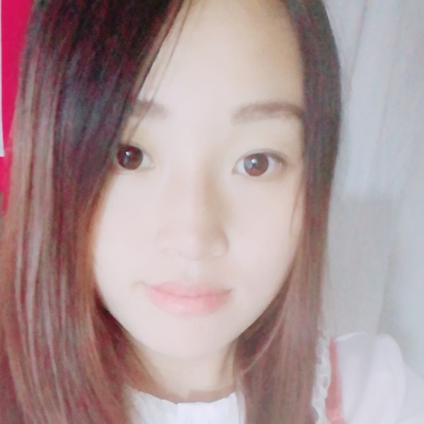 小熊猫阳光的照片
