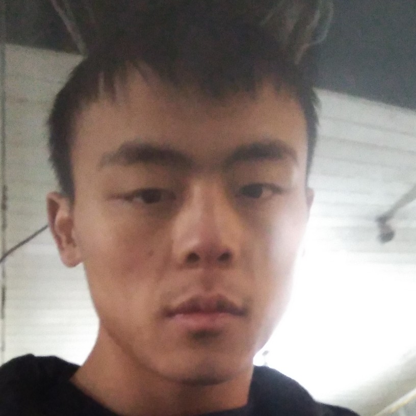 新捷达的照片