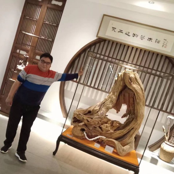 春天的雨。的照片