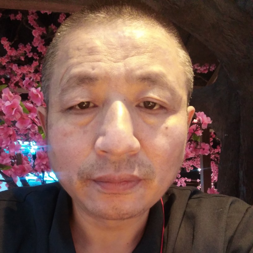 蒸之天下的照片
