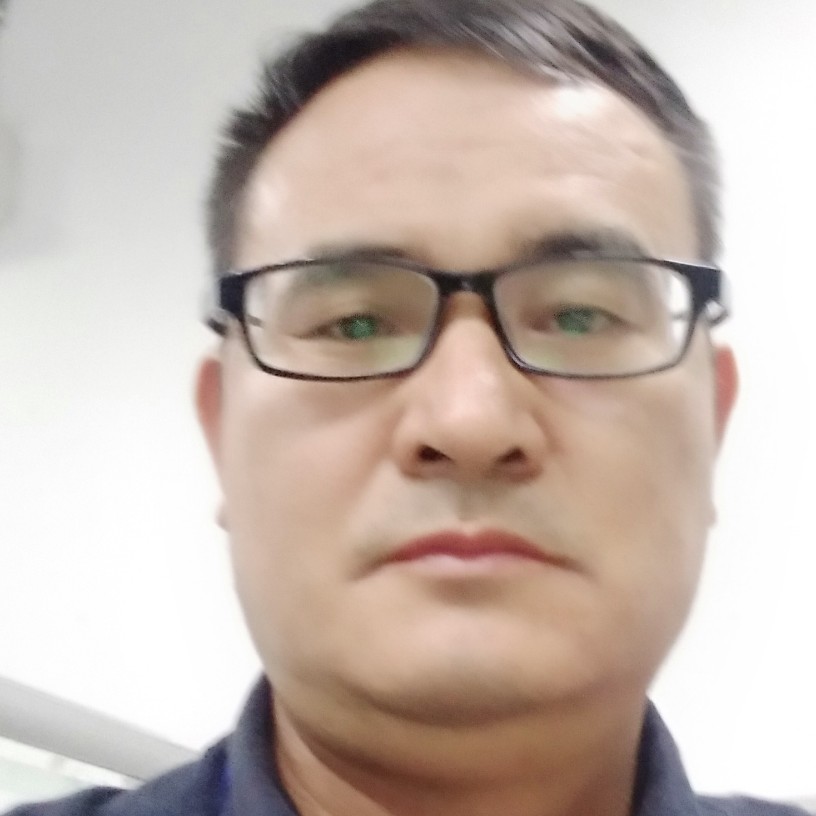 翩飞鸭子的照片