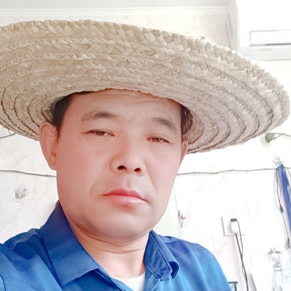 苗条绵密的照片