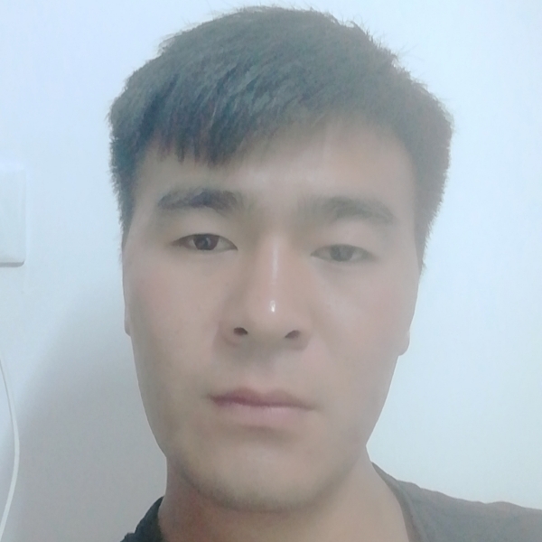 虚拟乌龟的照片