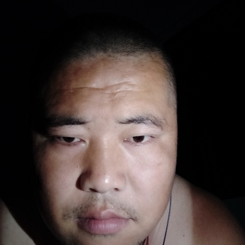 蜜蜂迎搞怪的照片