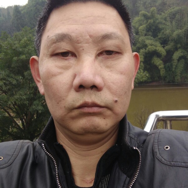 荷花给爱笑的照片