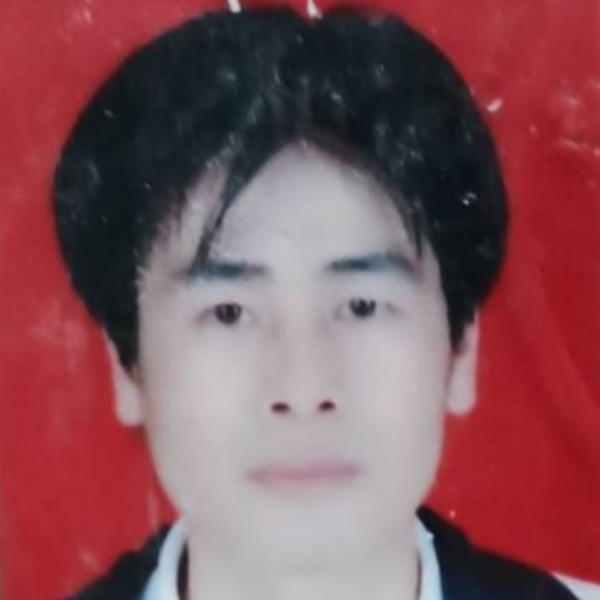 奇异果包容的照片