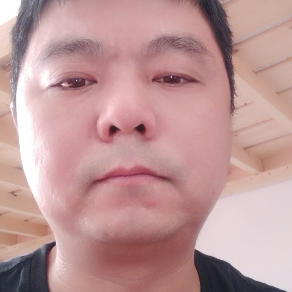 刺猬斑驳陆离的照片