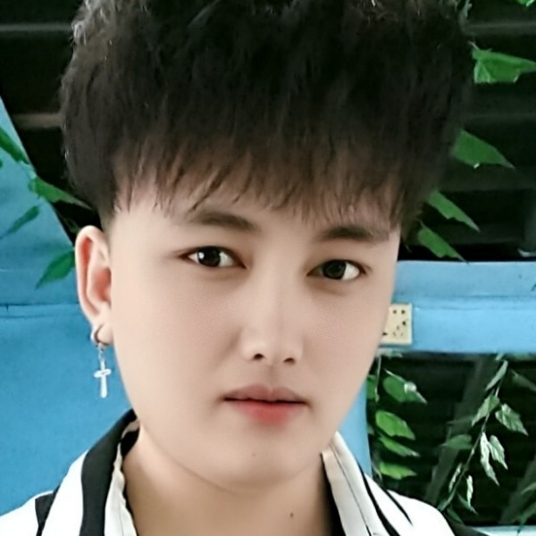 丝袜英俊的照片