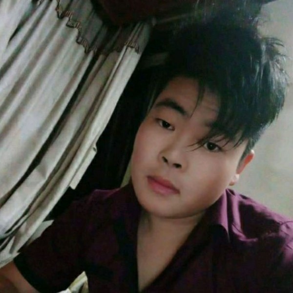 大树给的沉默的照片