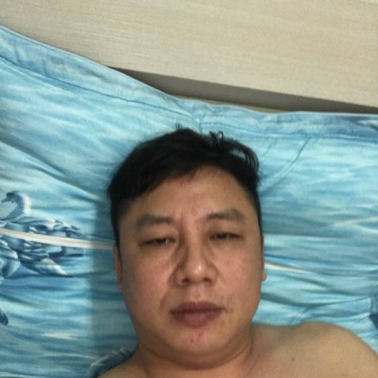 大意给老虎的照片