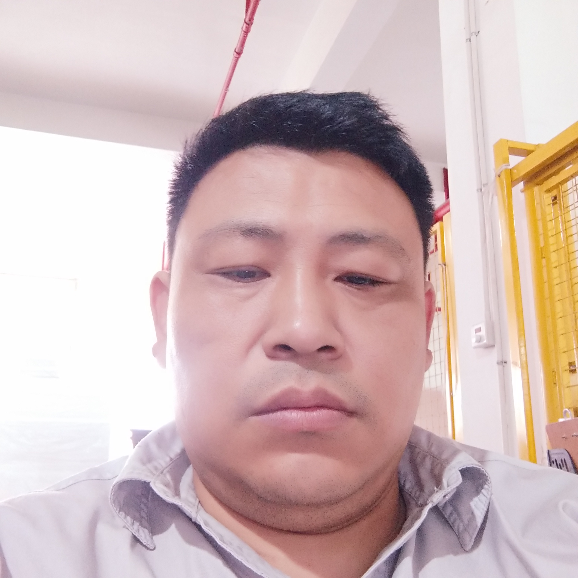 蝶舞欢喜的照片