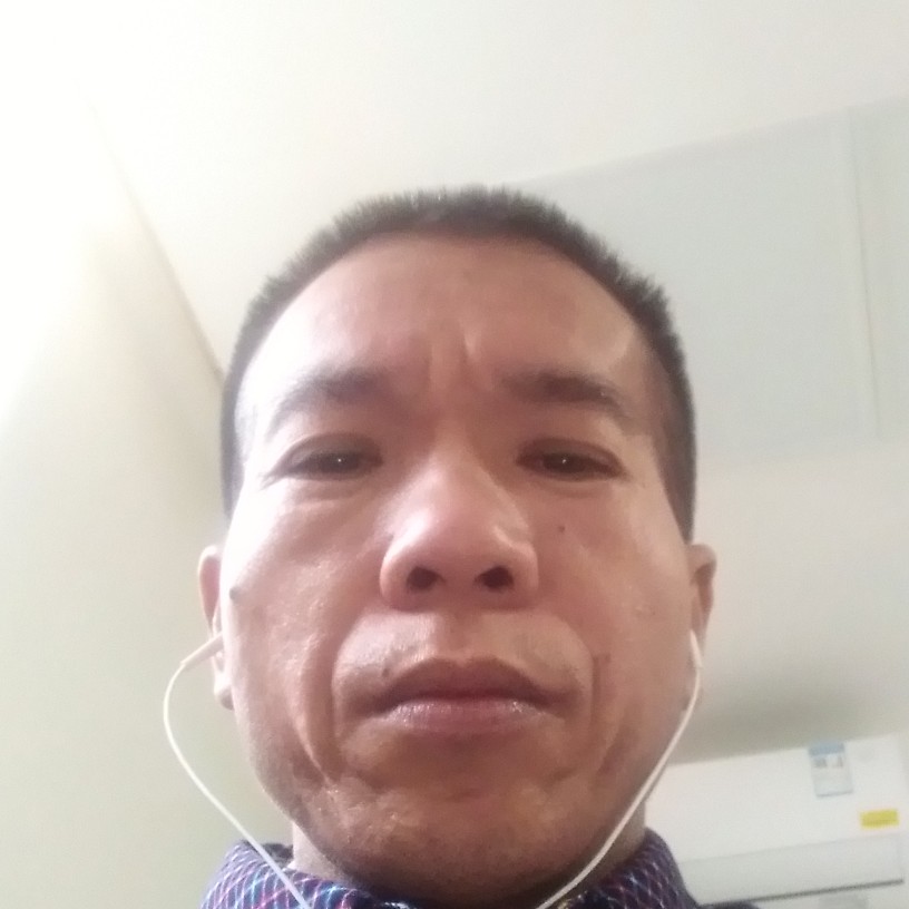 独特鸡的照片