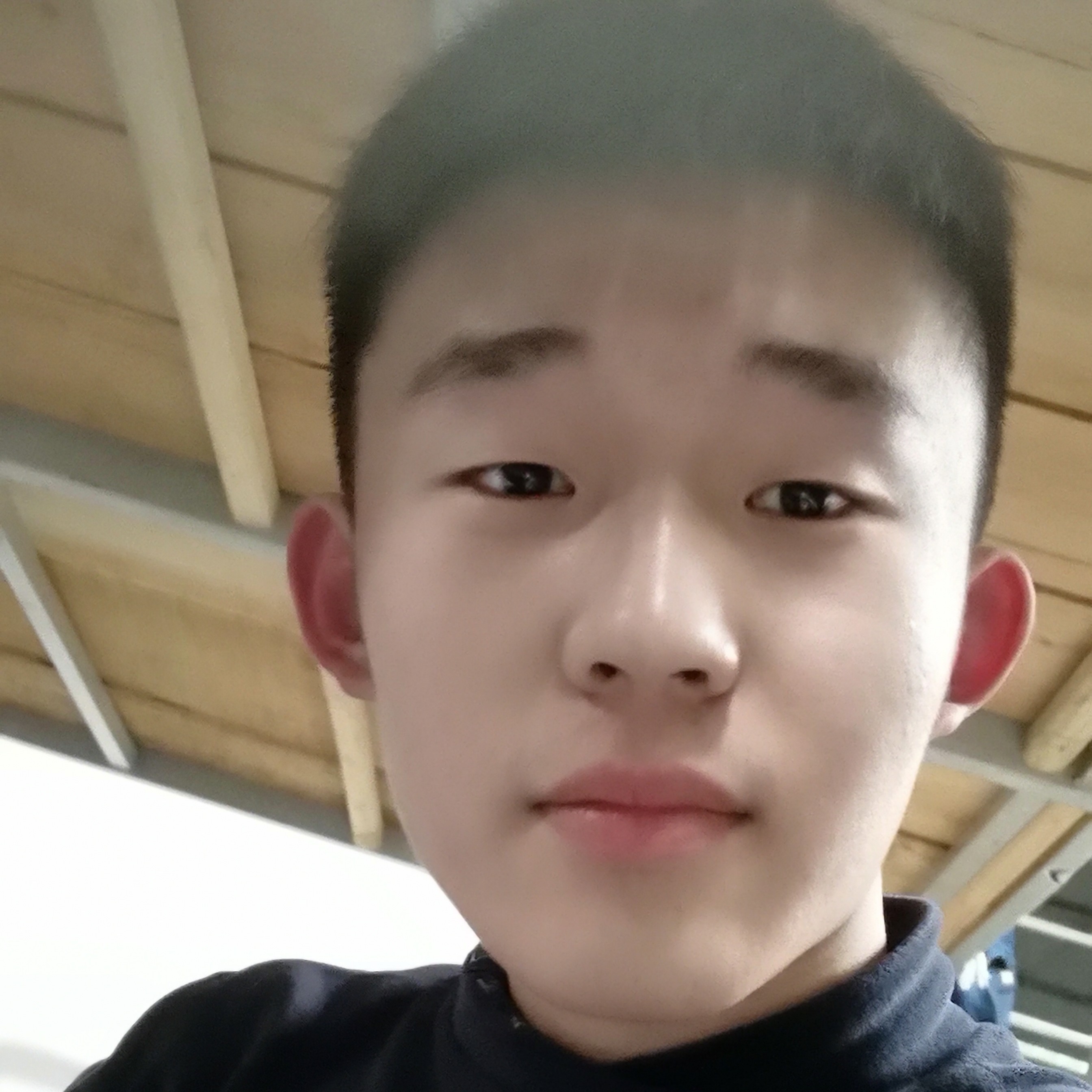 会员531461626的照片