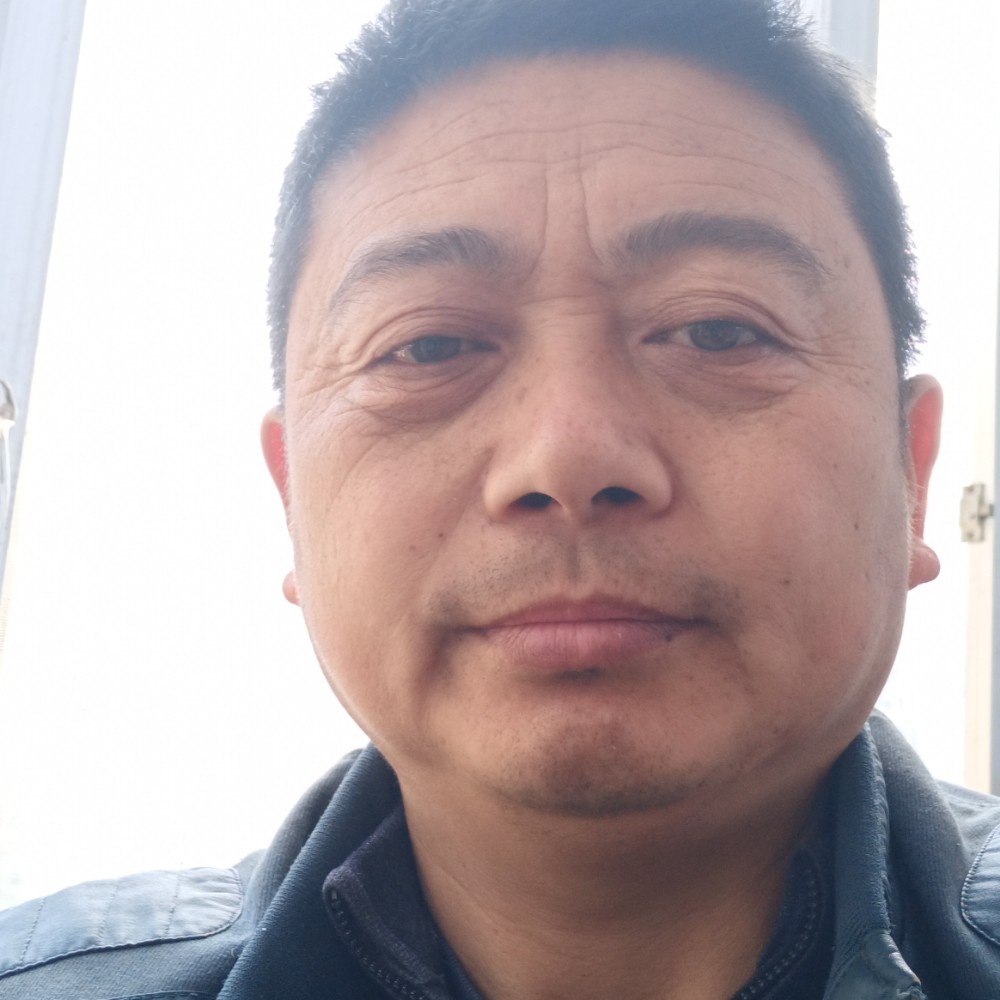孤独老杨的照片