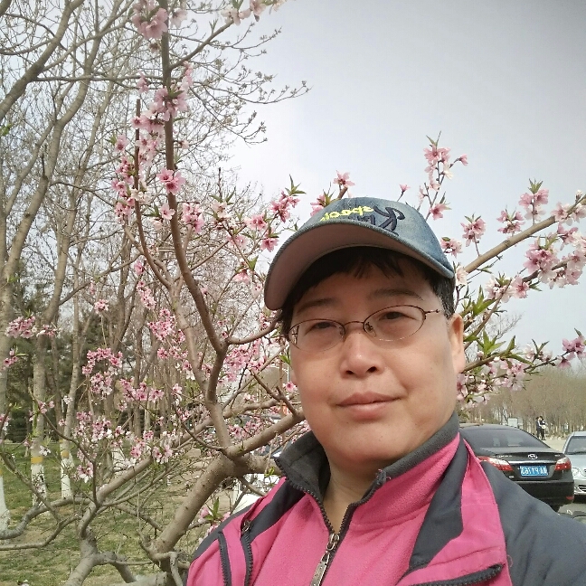 雾中丝雨的照片