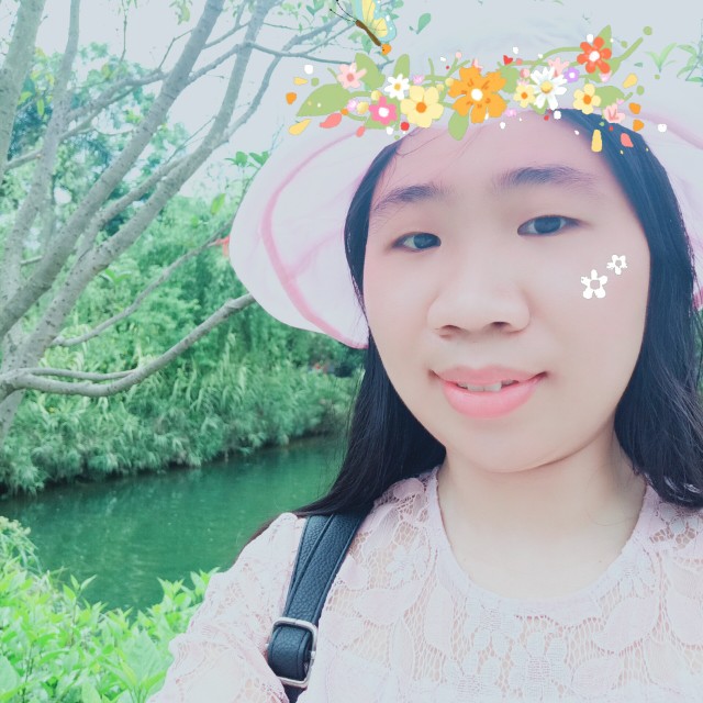 冰雪燕的照片