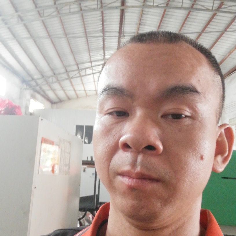 可靠爱恋树叶的照片