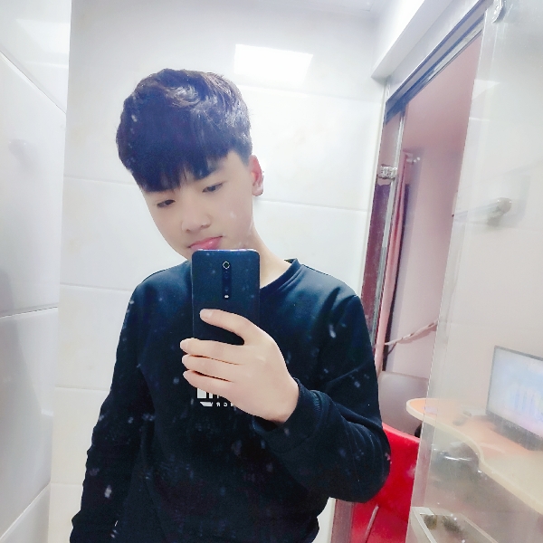 小海豚改变初夏的照片