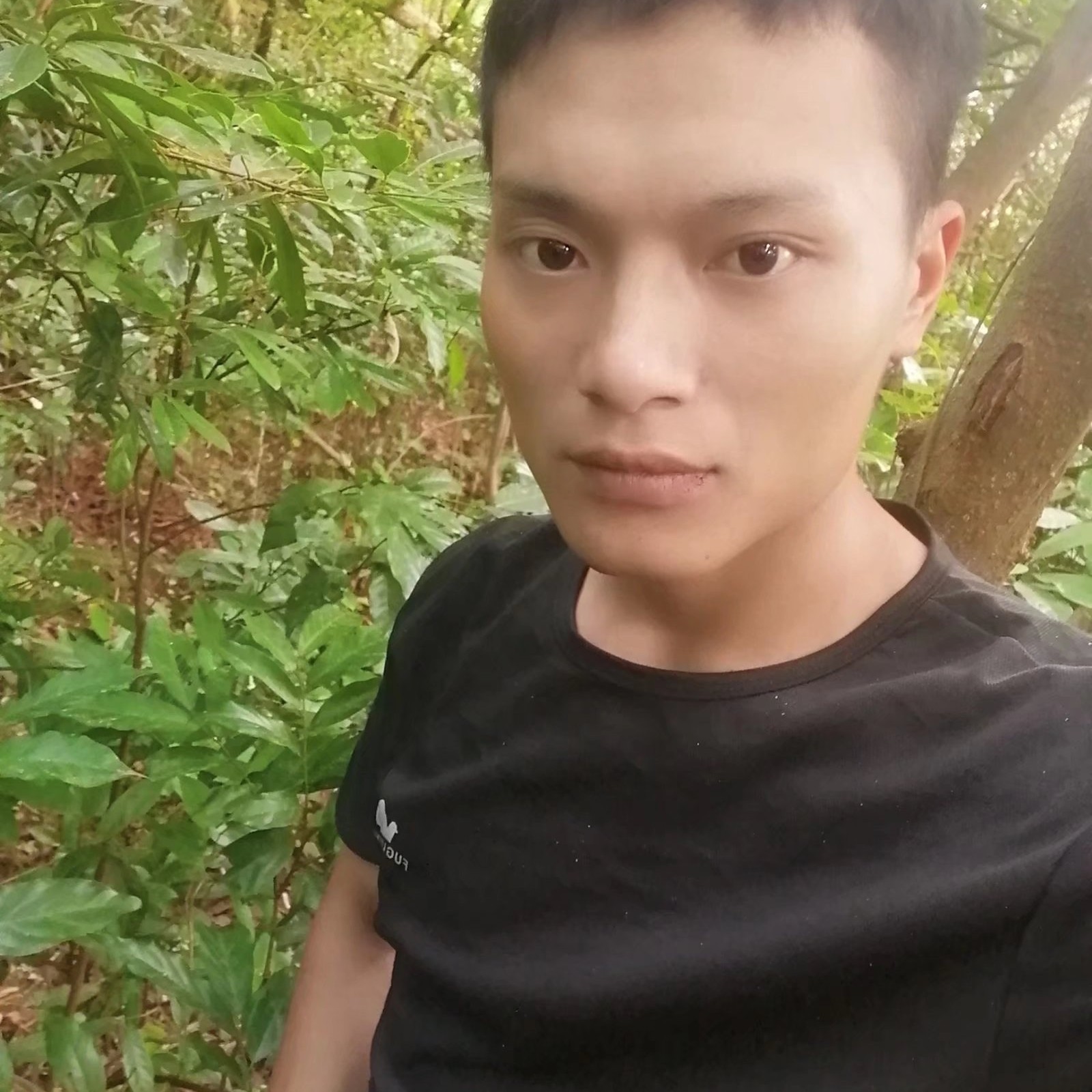 化羽那苹果的照片