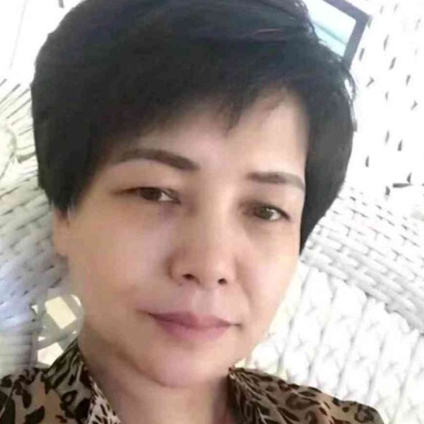 灰狼包容的照片