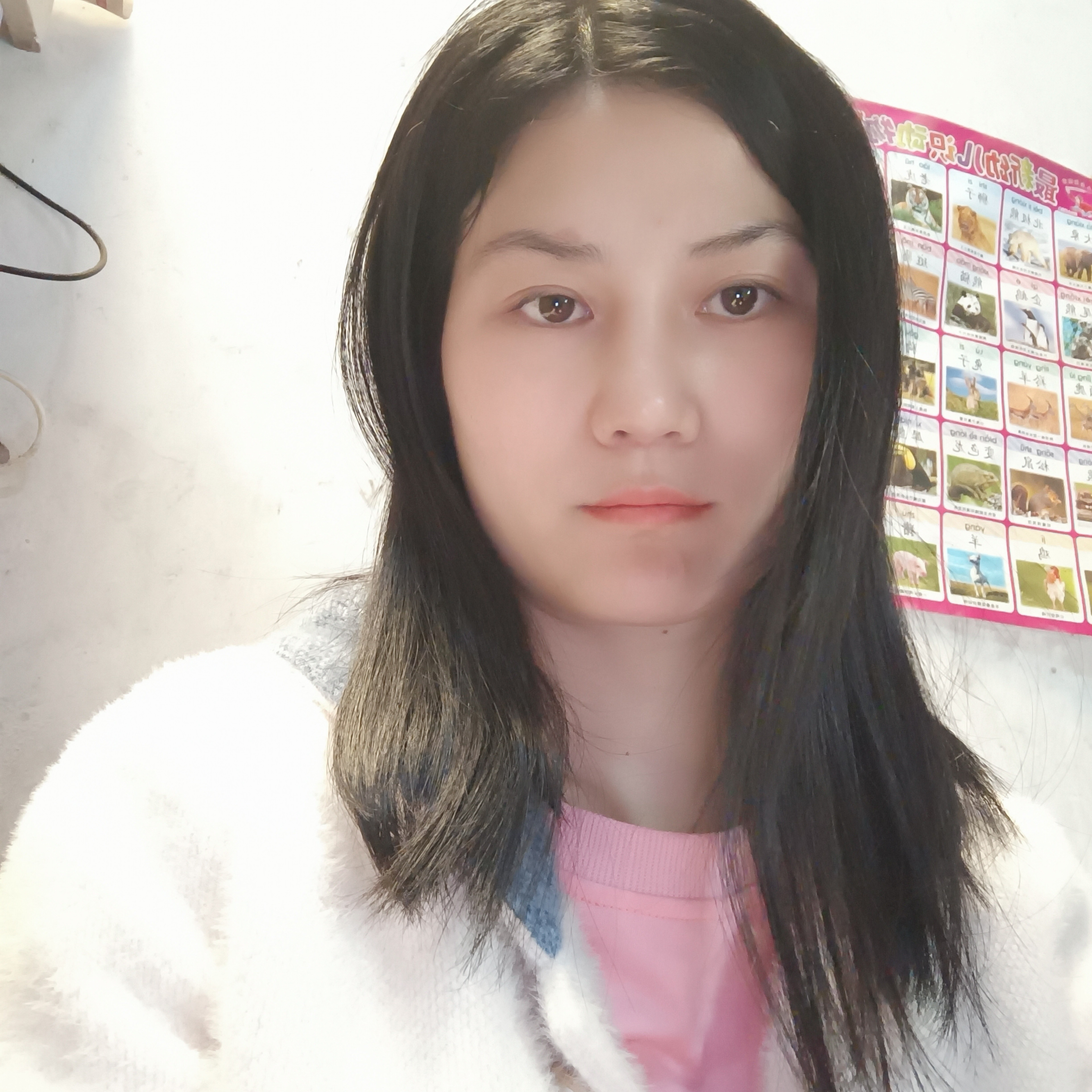 汐陽的照片