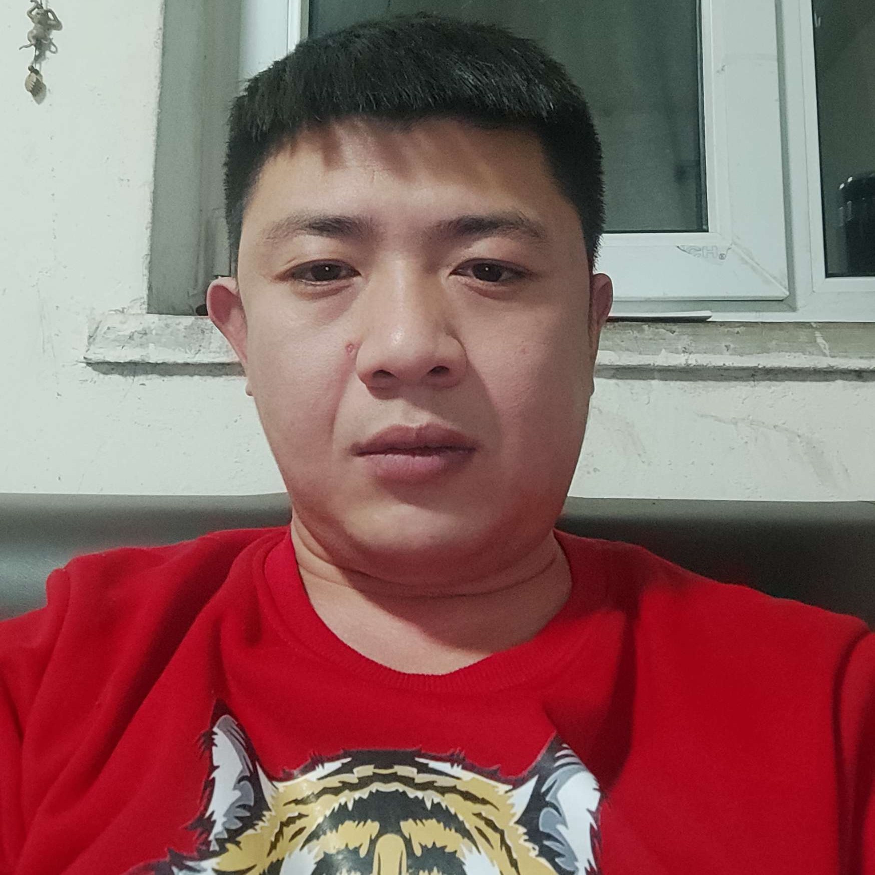 神龙小虎的照片