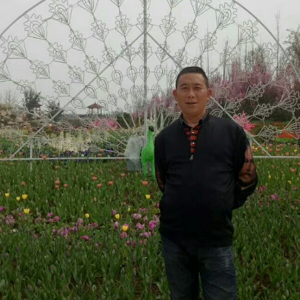 汉堡矮小的照片