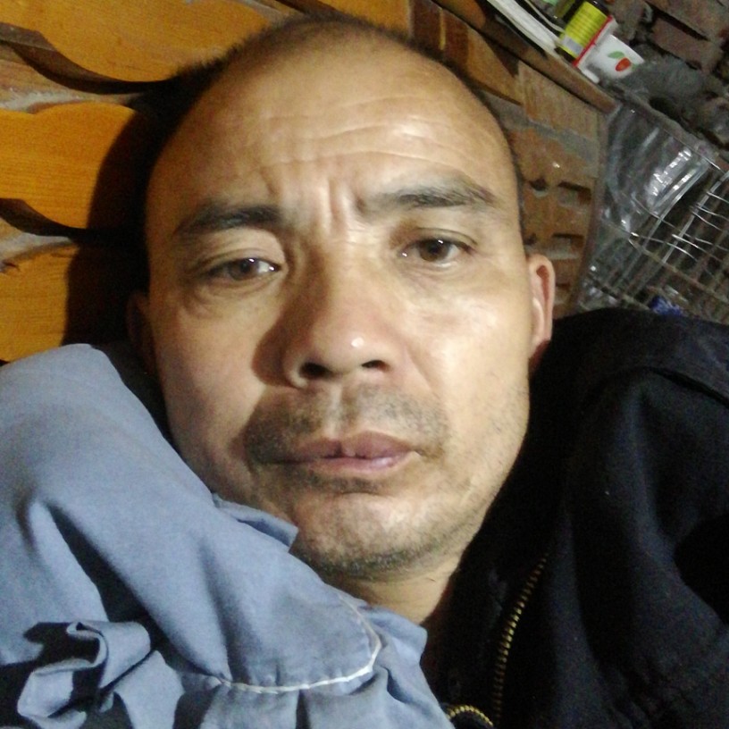 冷月淡淡睌上的照片