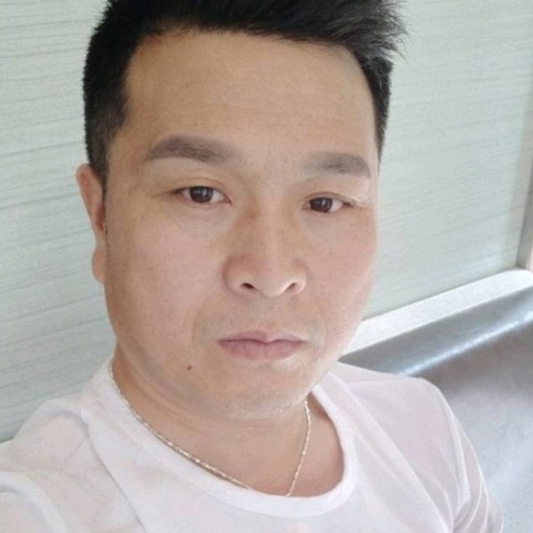 绿草优美的照片