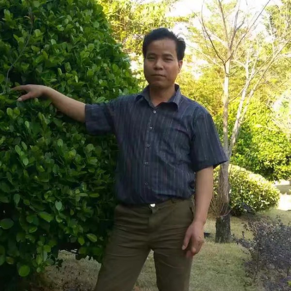 荼蘼等待幸福的照片