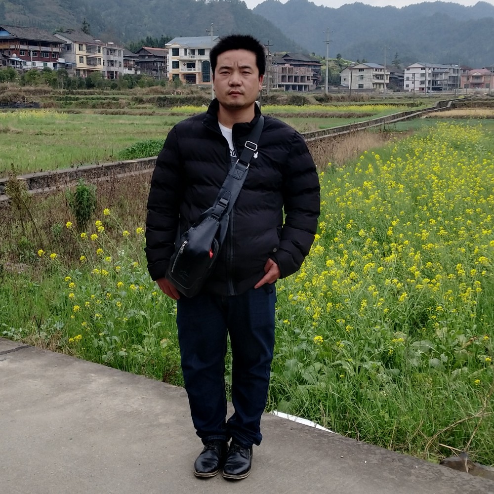 杨平勤的照片