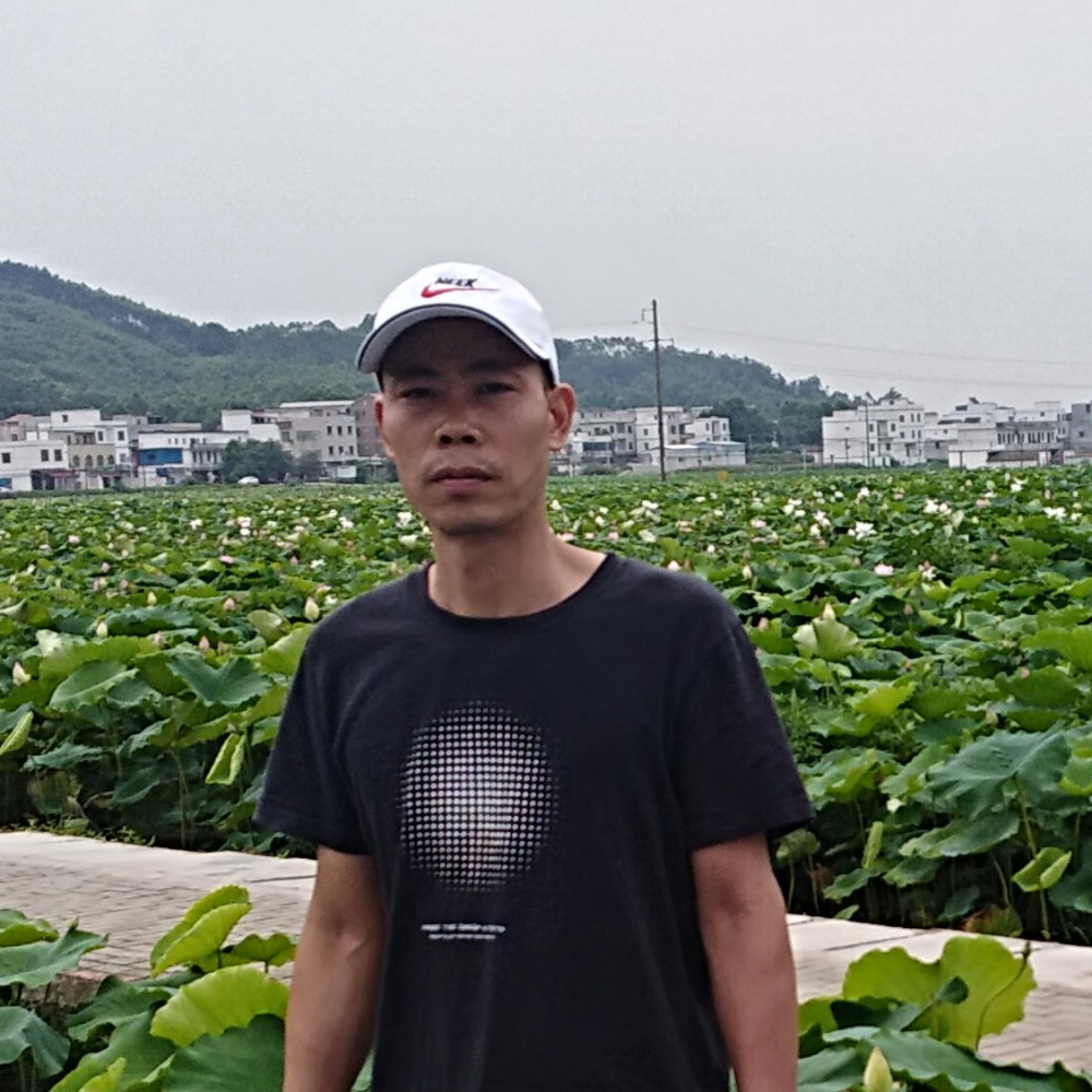 忠信顺孝的照片