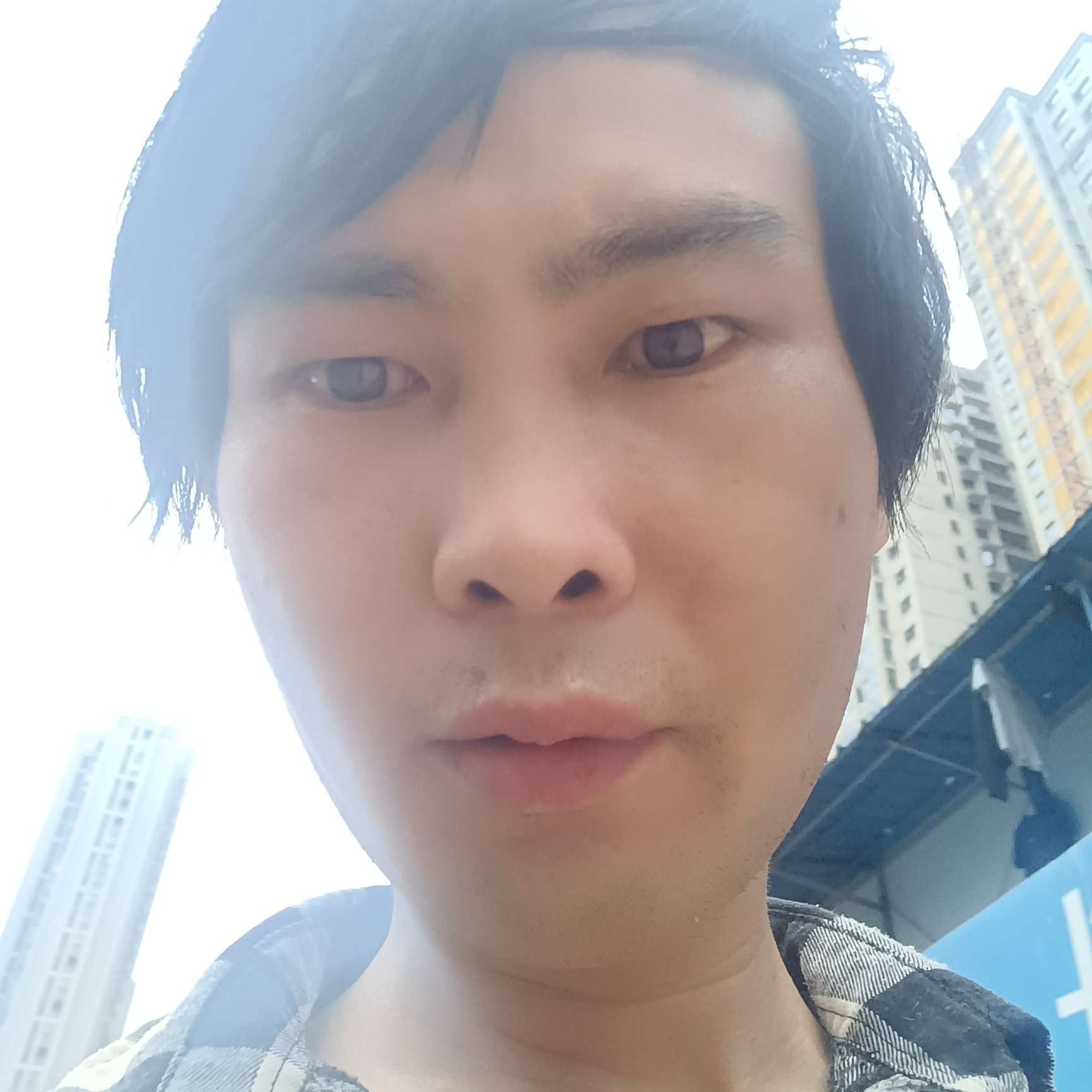 飘逸有森槿的照片