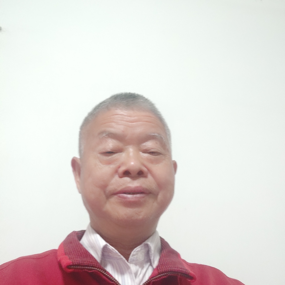 孤独方鸵鸟的照片