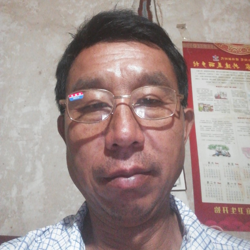 惊鸿疯狂的照片