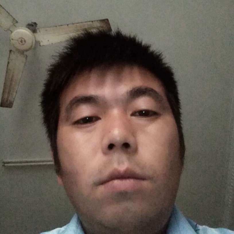 小猫咪請呆萌的照片