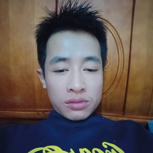 大树向玩命的照片